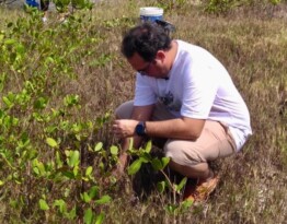 Dia da Árvore: Davi Maia realiza plantio de mais de 1000 mudas de mangue